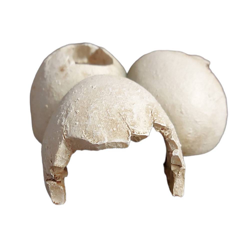 Trixie - Grotte en motif coquille d'œuf 15 x 6 x 12 cm pour reptiles - Imagen 3