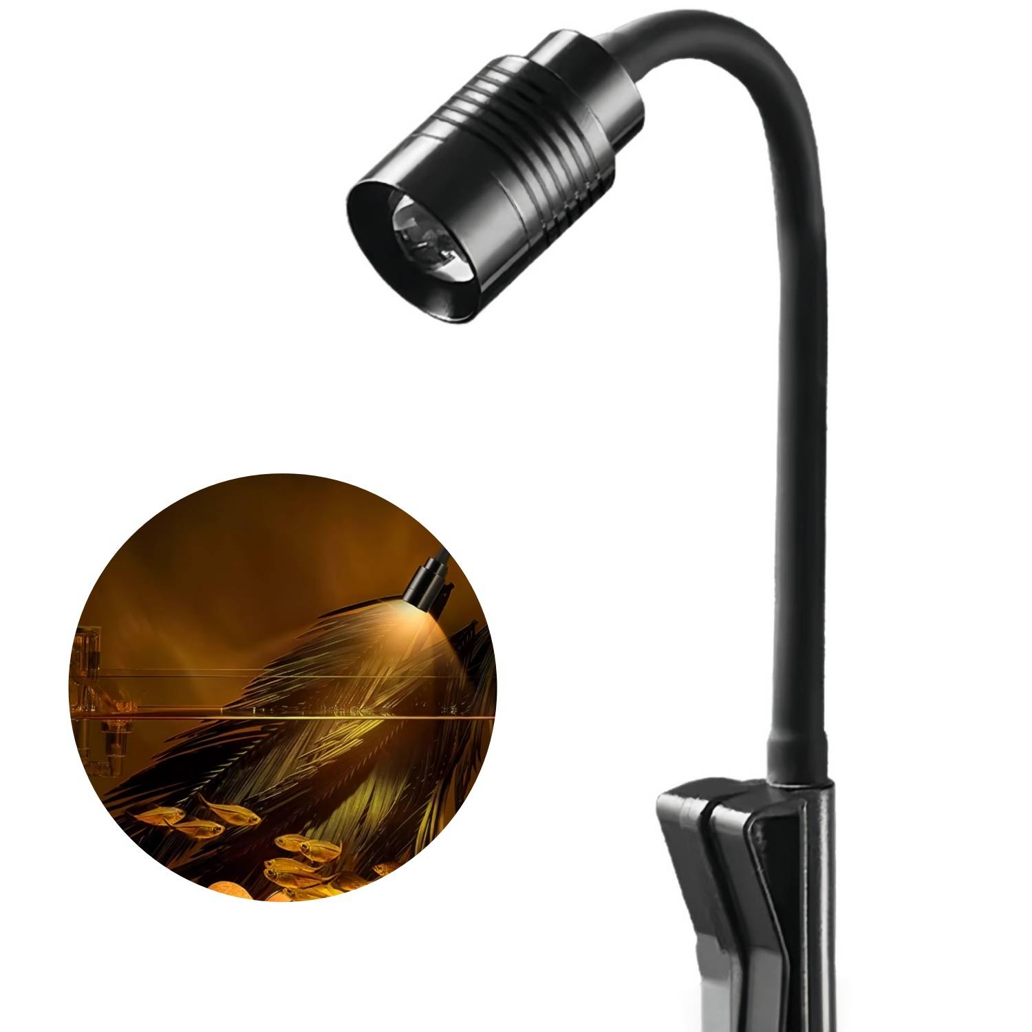 DtopbuyAge - Éclairage LED Boxtech 3W Réglable - Nano Aquariums DtopbuyAge
