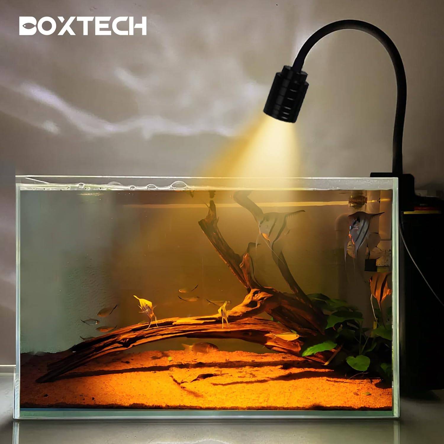 DtopbuyAge - Éclairage LED Boxtech 3W Réglable - Nano Aquariums DtopbuyAge - Image 3