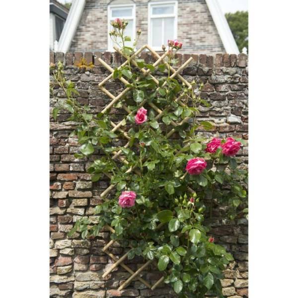 Treillis extensible - NATURE - En bambou - 70 x 180 cm - Image 4