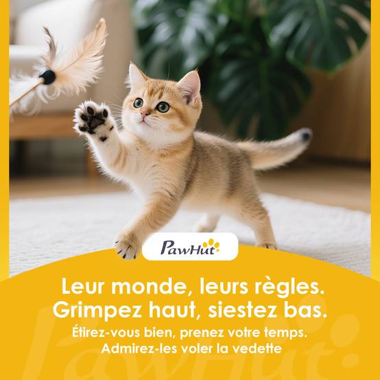 Tour à griffer chat 3 niveaux sisal 360 peluche jouets suspendus 38x96cm crème - ComfortXL Outdoor Living - Image 9