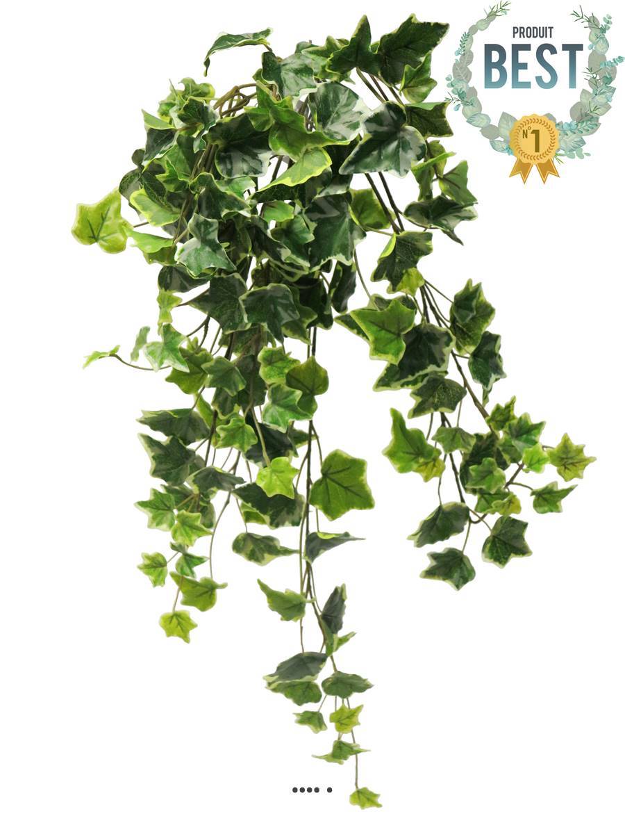 Lierre artificiel en chute, 7 ramures, L 70 cm Panaché - BEST - couleur: Blanc-vert - Image 1