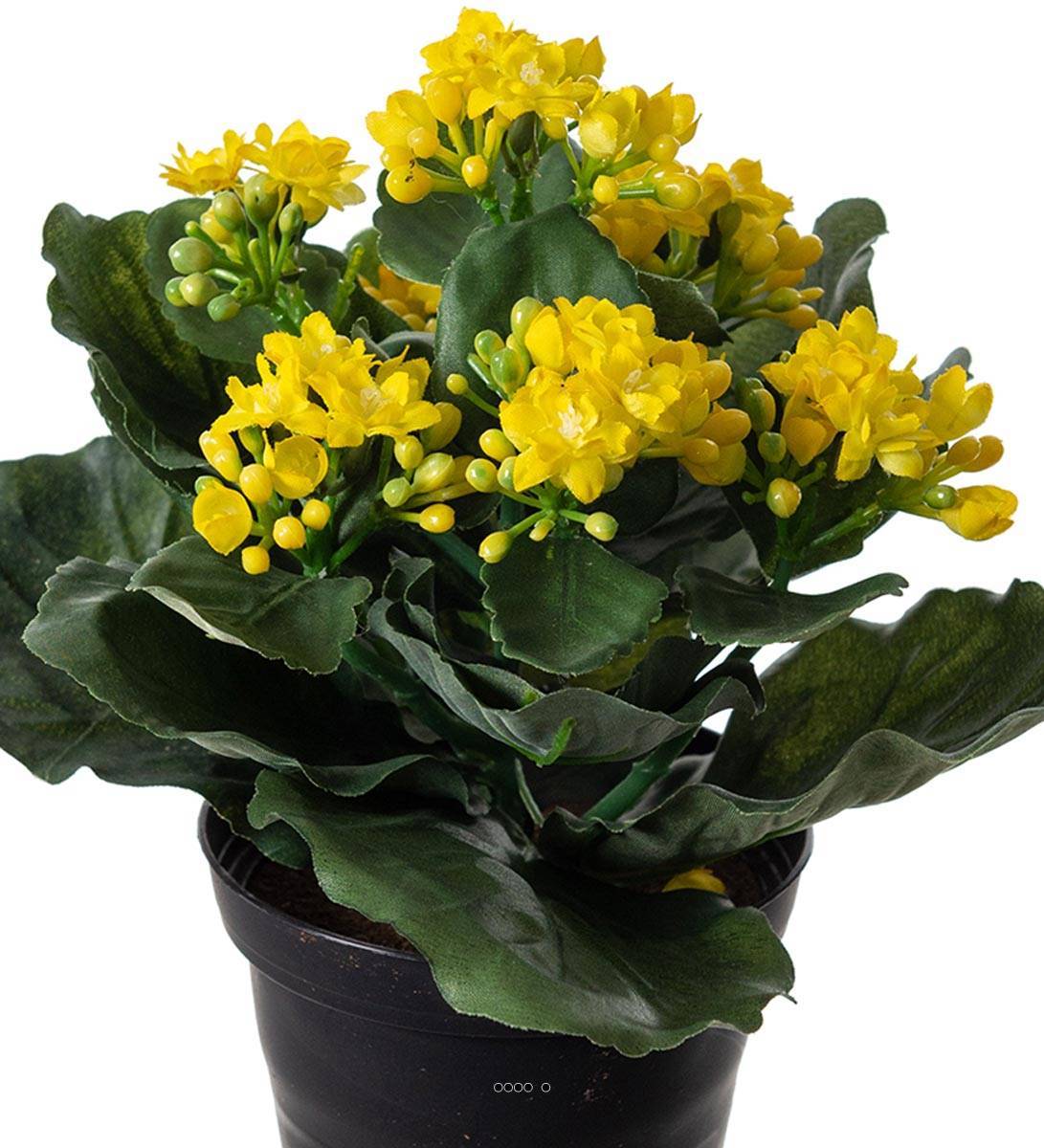 Artificielles - Kalanchoé artificiel en pot H 20 cm adorable et très dense Jaune - couleur: Jaune - Imagen 3