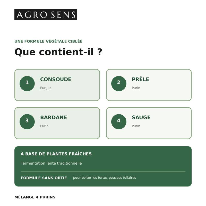 Mélange de 4 purins concentré, consoude, prêle, bardane et sauge - 1 Litre - Image 5