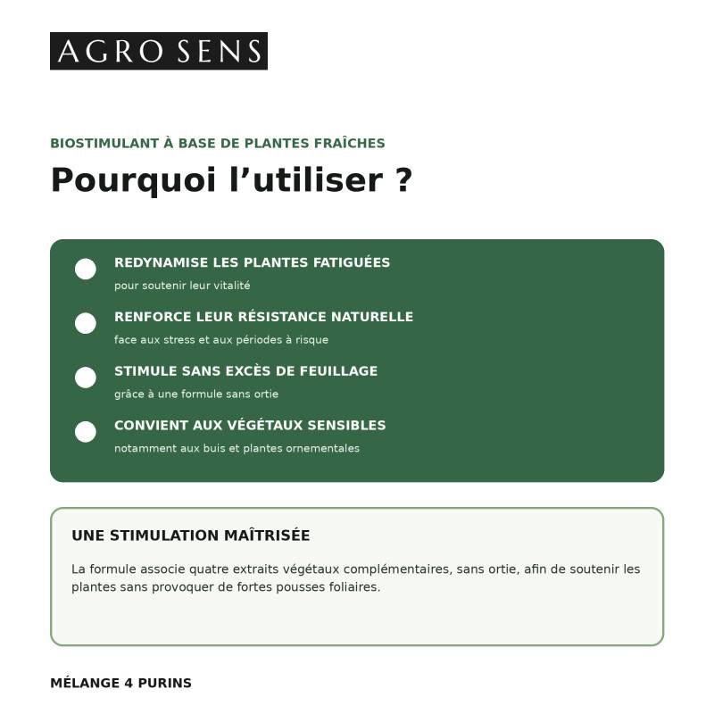 Mélange de 4 purins concentré, consoude, prêle, bardane et sauge - 1 Litre - Image 4