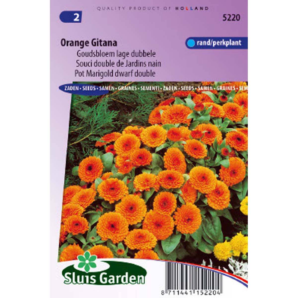 Promesse de Fleurs - Graines de Calendula officinalis nain Orange Gitana - Souci des Jardins le sachet de 250 graines environ (2g)
