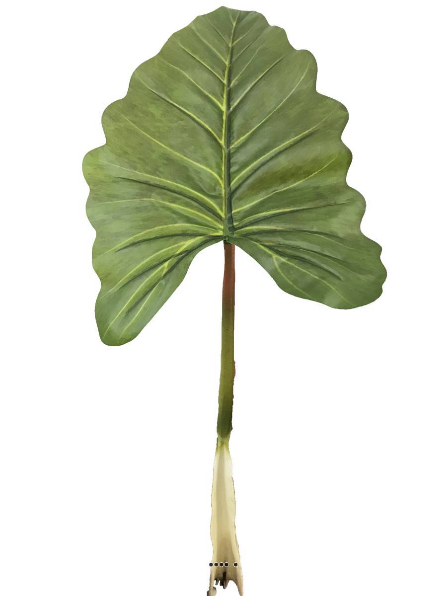 Artificielles - Feuille d'Alocasia, Songe Caraïbe artificielle, H 91 cm - BEST - Imagen 2