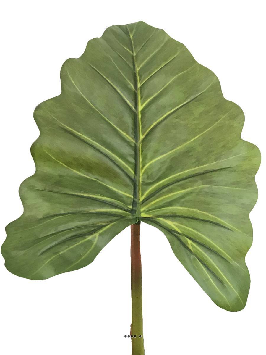 Artificielles - Feuille d'Alocasia, Songe Caraïbe artificielle, H 91 cm - BEST - Imagen 4