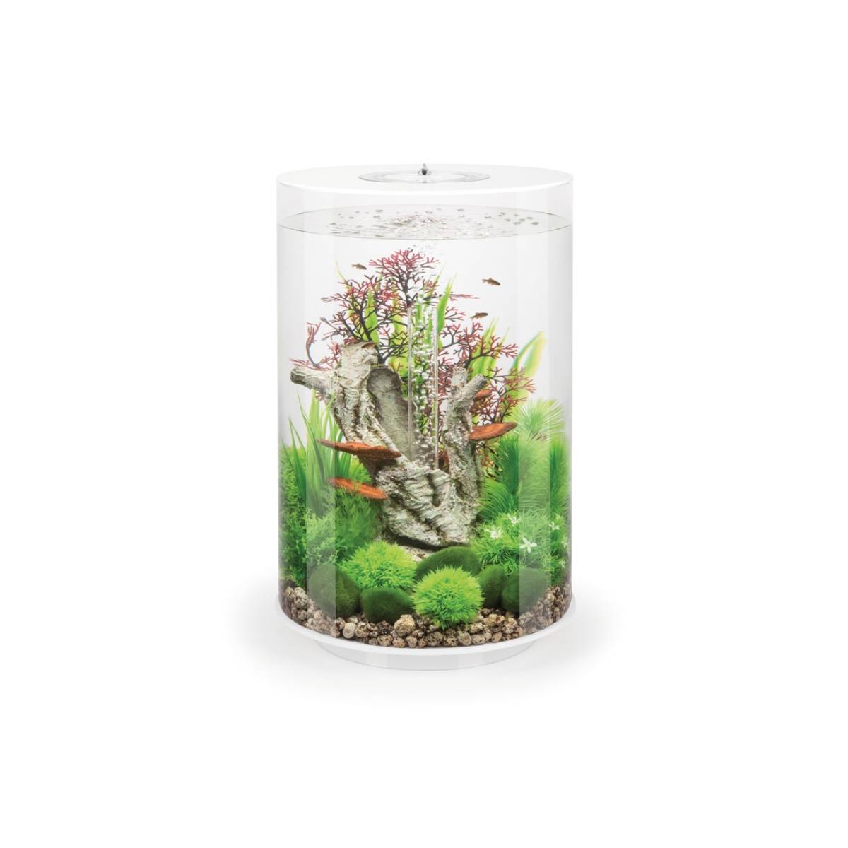 Oase - Aquarium décoratif 30l blanc TUBE 30 MCR WHITE Oase - Imagen 1
