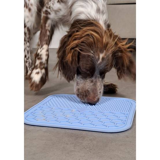 Zolux - Tapis à lécher silicone ventouse M 21 x 21 cm bleu pour chien - Image 3