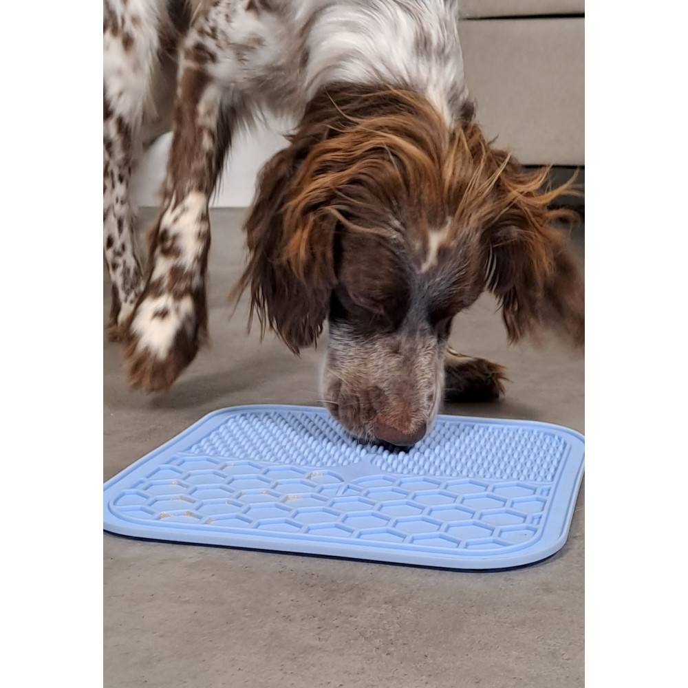 Zolux - Tapis à lécher silicone ventouse M 21 x 21 cm bleu pour chien - Imagen 3