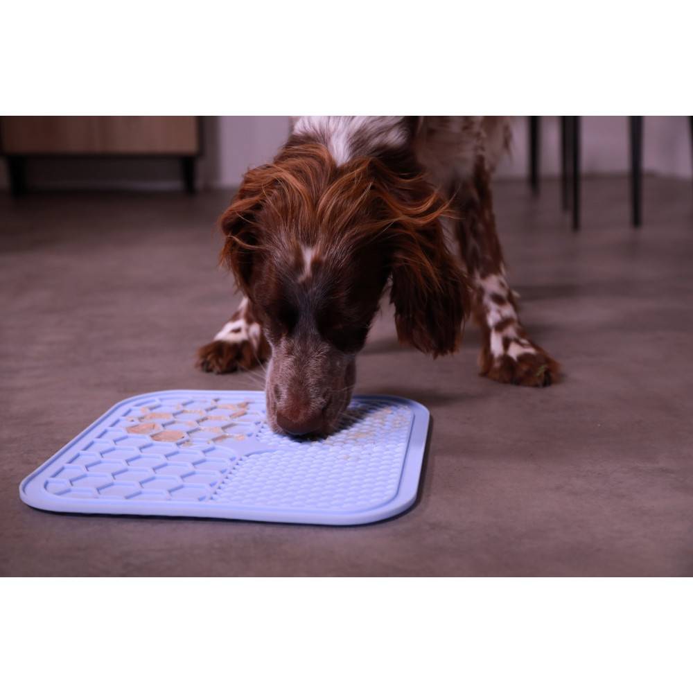 Zolux - Tapis à lécher silicone ventouse M 21 x 21 cm bleu pour chien - Imagen 5