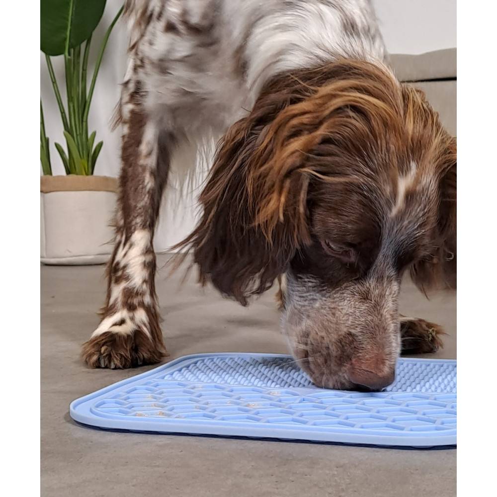Zolux - Tapis à lécher silicone ventouse M 21 x 21 cm bleu pour chien - Image 2