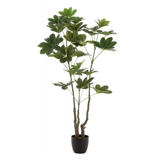 Plante Artificielle en Pot "Pachira" 157cm Vert - Image 1