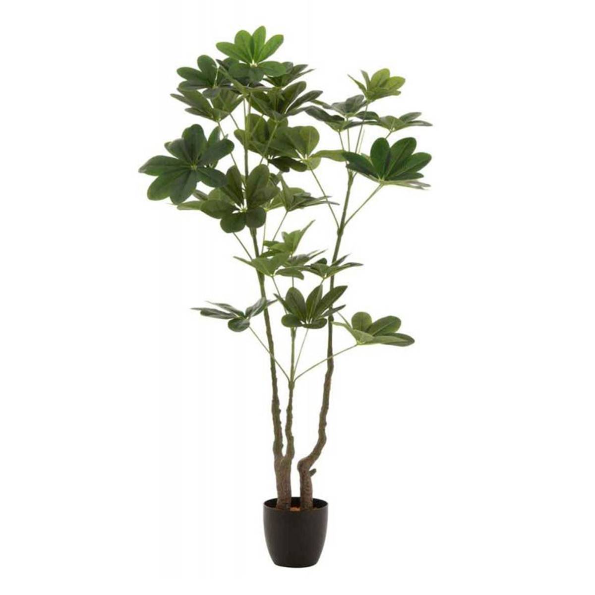 Plante Artificielle en Pot "Pachira" 157cm Vert - Image 1
