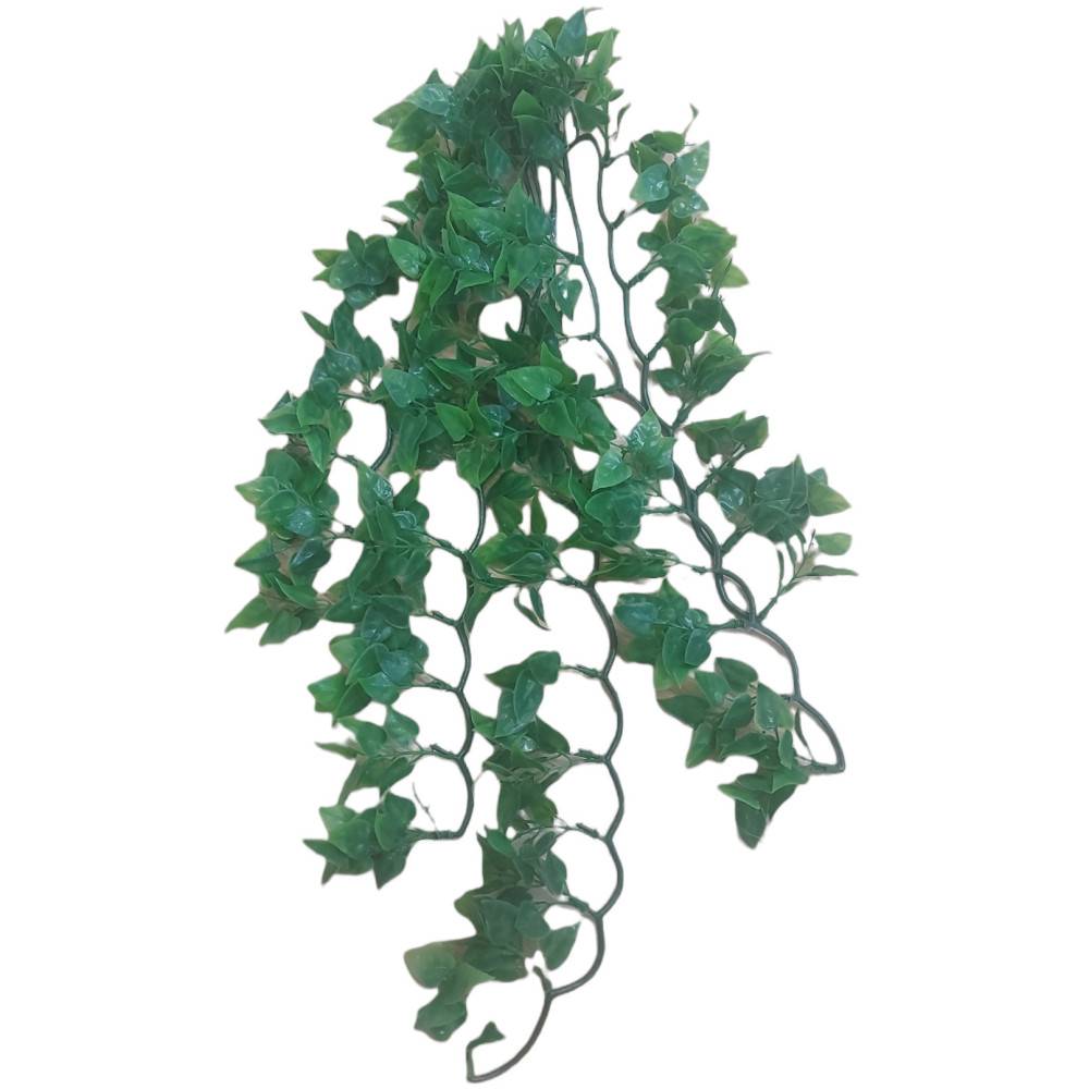 Plantes décorative imitation Phyllo mexicain d'environs  56 cm - Imagen 1