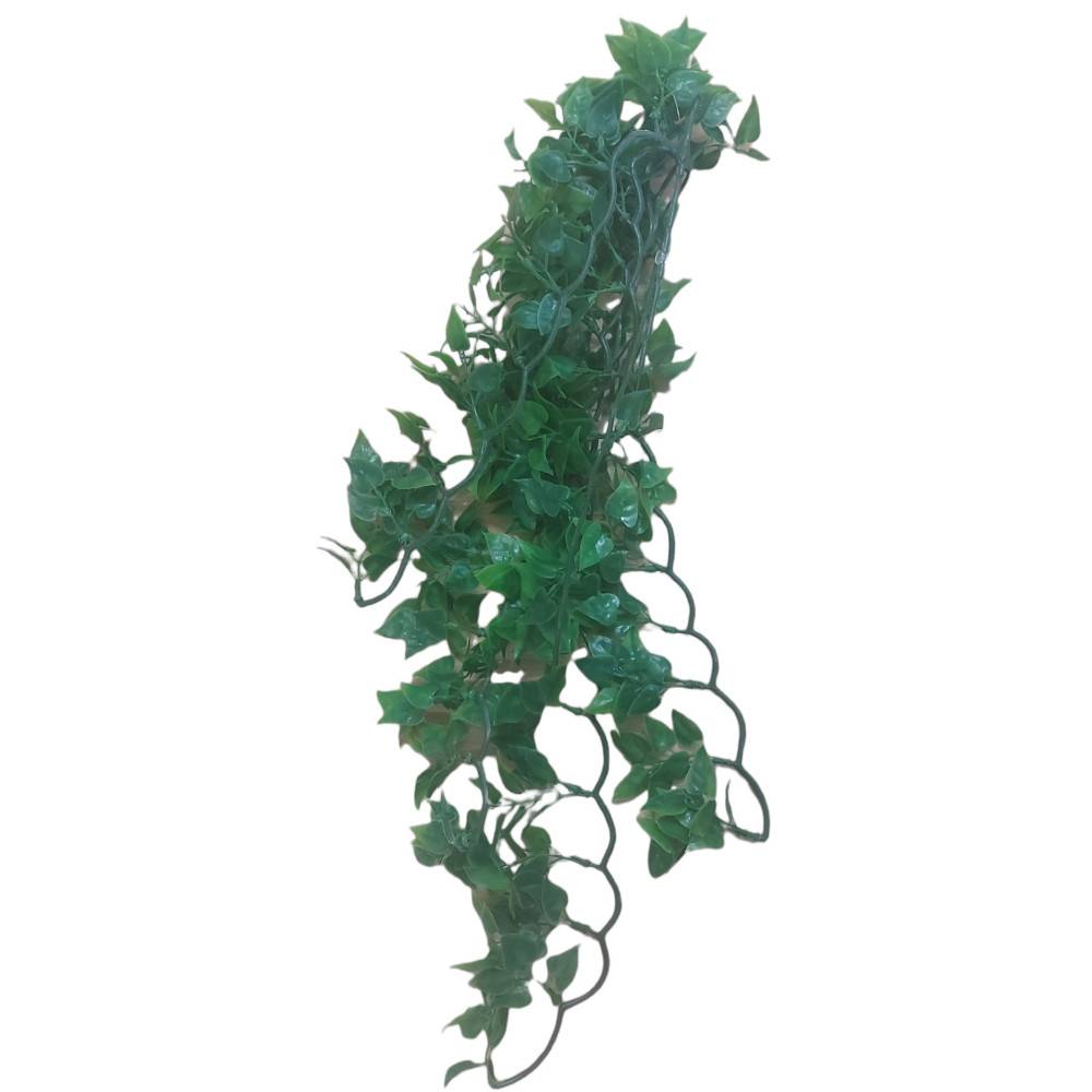 Plantes décorative imitation Phyllo mexicain d'environs  56 cm - Imagen 3