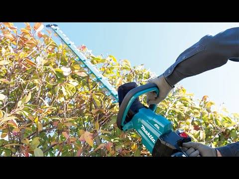 Taille-haie 18V LXT 60 cm - MAKITA - avec 1 batterie 18V 3.0Ah + chargeur - DUH602SF - Image 5