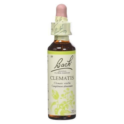 Clematis - Fleurs de Bach® n°9 Fleur de Bach