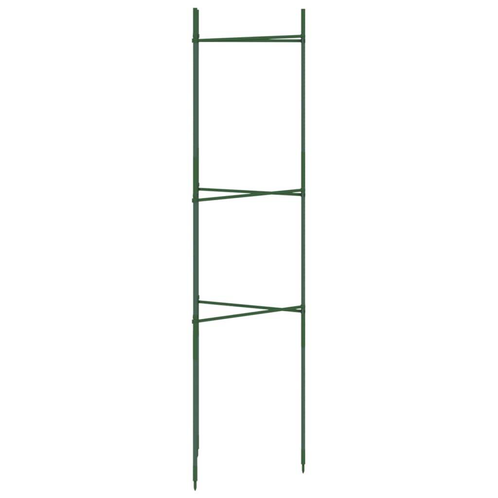 ComfortXL - Lot de 6 Cages à Tomates en Acier Support Vertical Ajustable pour Potager et Serre Vert 116 cm – ComfortXL Outdoor Living - Image 4