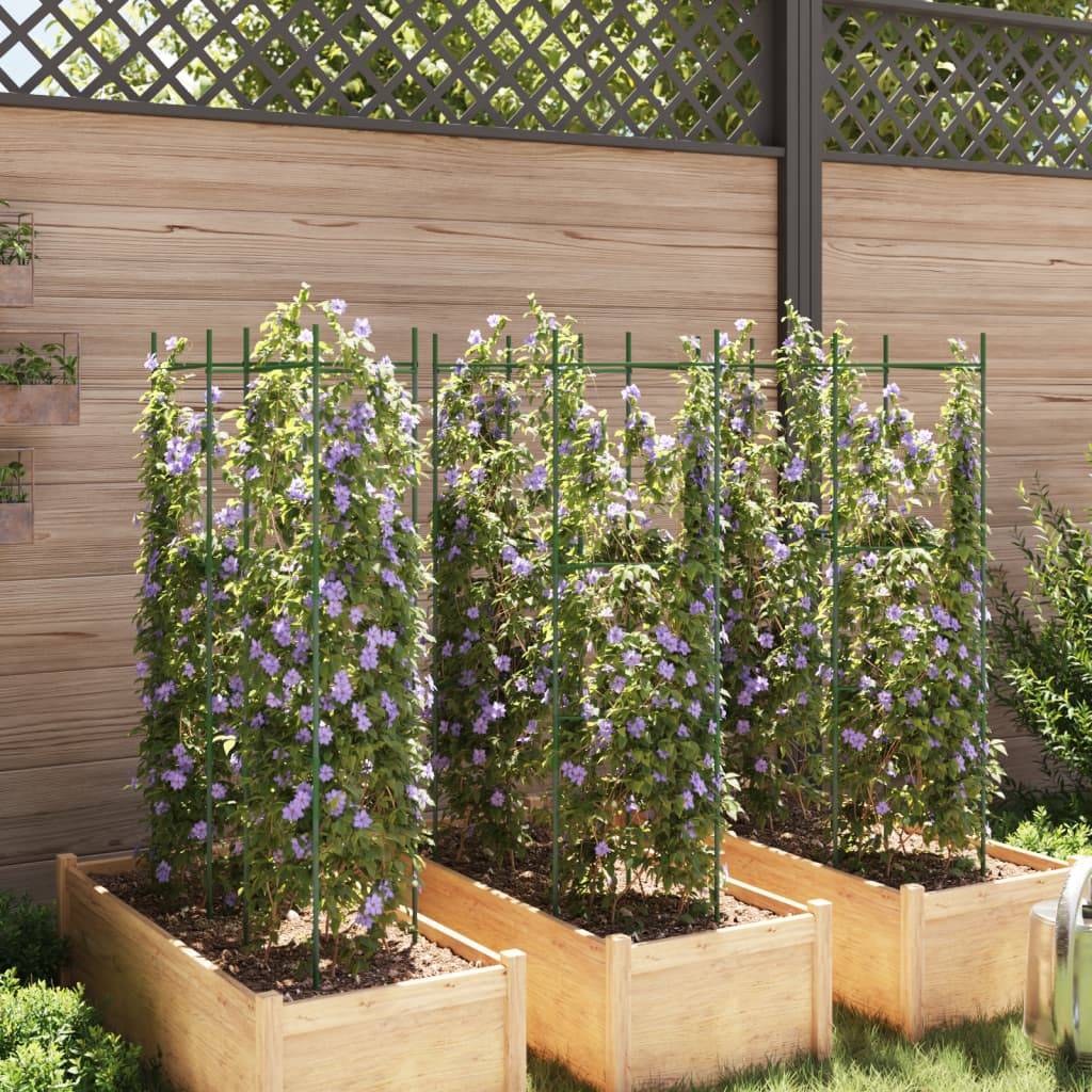 ComfortXL - Lot de 6 Cages à Tomates en Acier Support Vertical Ajustable pour Potager et Serre Vert 116 cm – ComfortXL Outdoor Living - Image 3