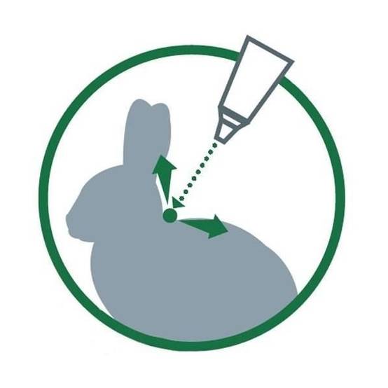Advantage - ADVANTAGE Solution Antipuce Chat Lapin 1 a 4kg 4 pipettes - Image 5