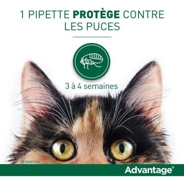 Advantage - ADVANTAGE Solution Antipuce Chat Lapin 1 a 4kg 4 pipettes - Image 3