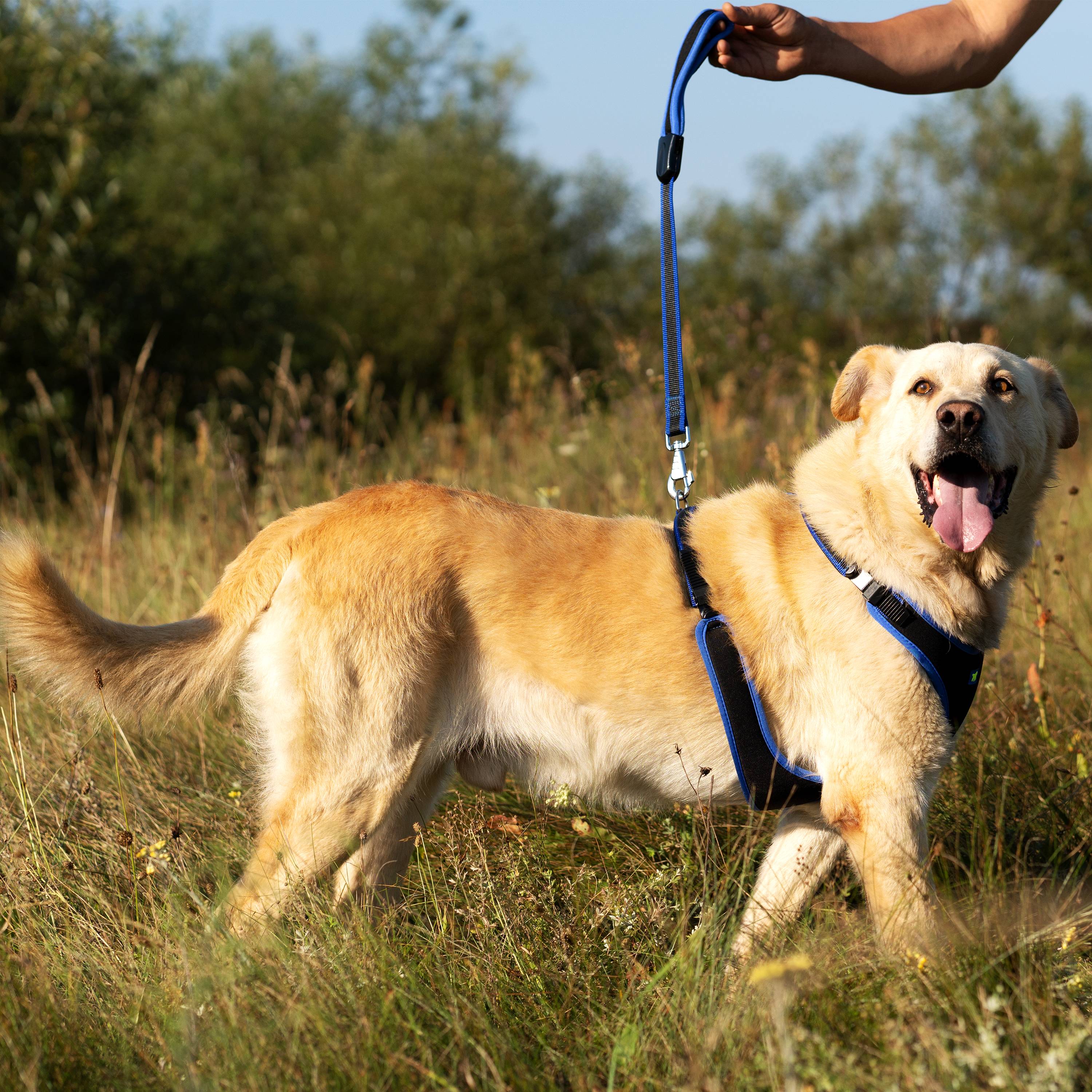 Ferplast - Ferplast Harnais pour chien grande taille ERGOCOMFORT LARGE, Harnais pour chien réglable, Confortable, Rembourré, Fermeture double micro-ajustement, - Imagen 3