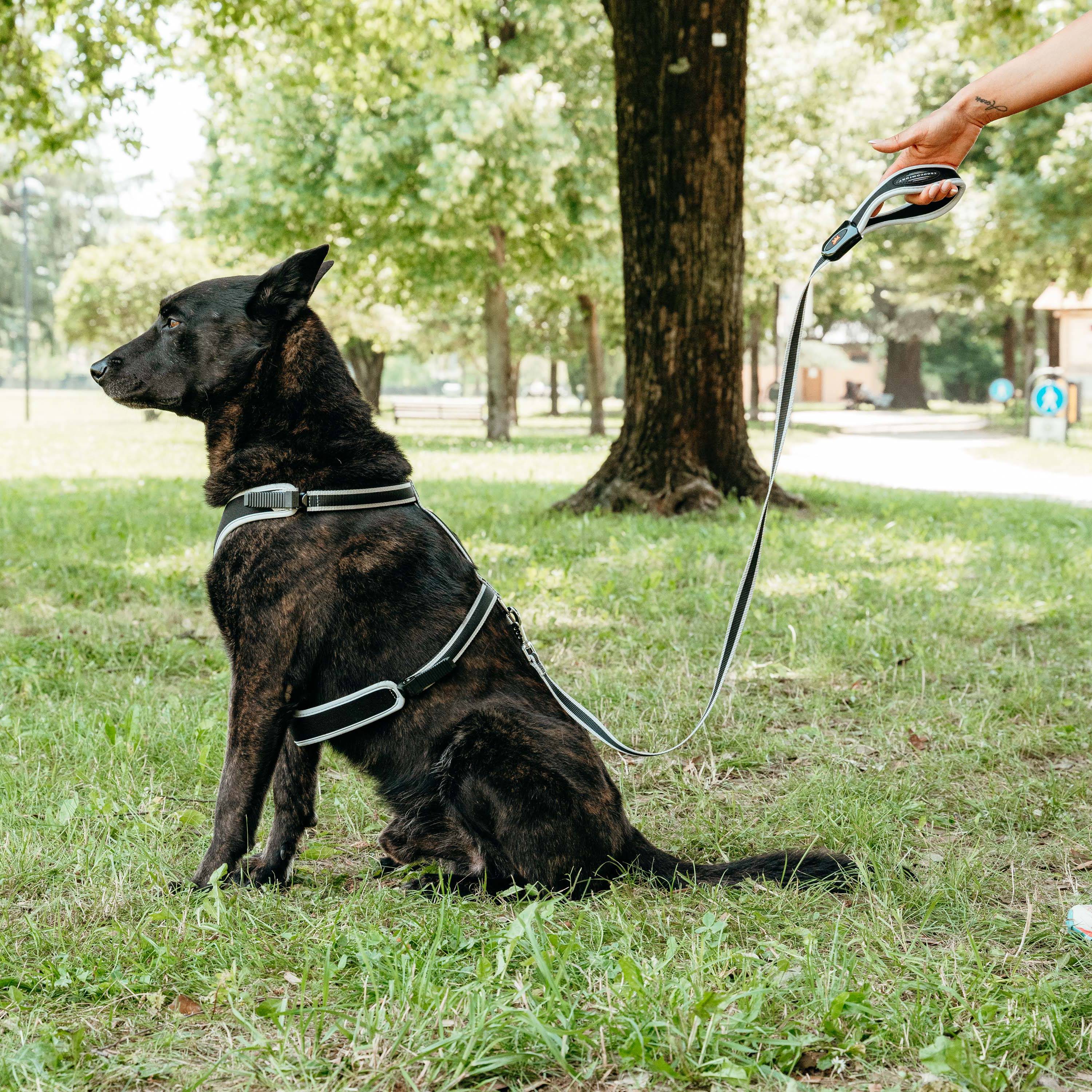 Ferplast - Ferplast Laisse pour chien en nylon ERGOCOMFORT G15/120, Poignée ergonomique, Rembourrage doux, Longueur 120 cm x 2 cm, Argent - Imagen 3