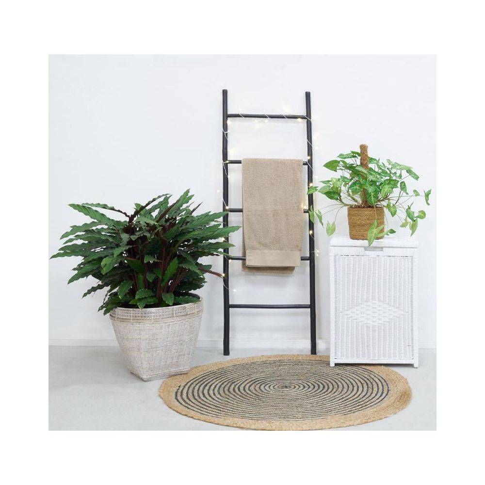 Aubry Gaspard - Cache-pots en bambou - Image 2