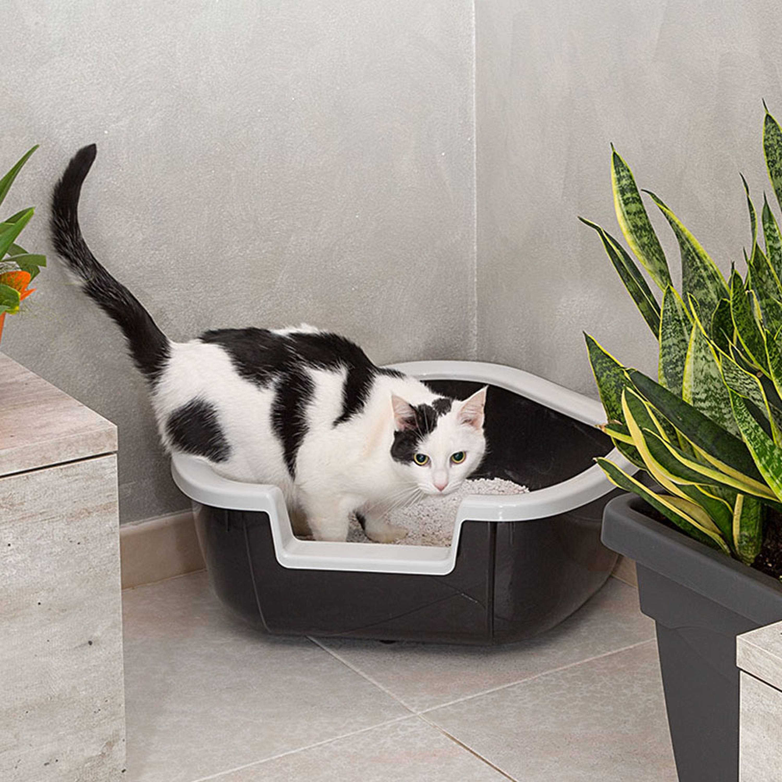 Ferplast - Ferplast Bac Litiere pour Chat, Maison de toilette pour Chat, Bac à litière d'angle, avec Bords Hauts et Entrée Basse, 57,5 x 51,5 x H 22 cm, Bac à - Imagen 3