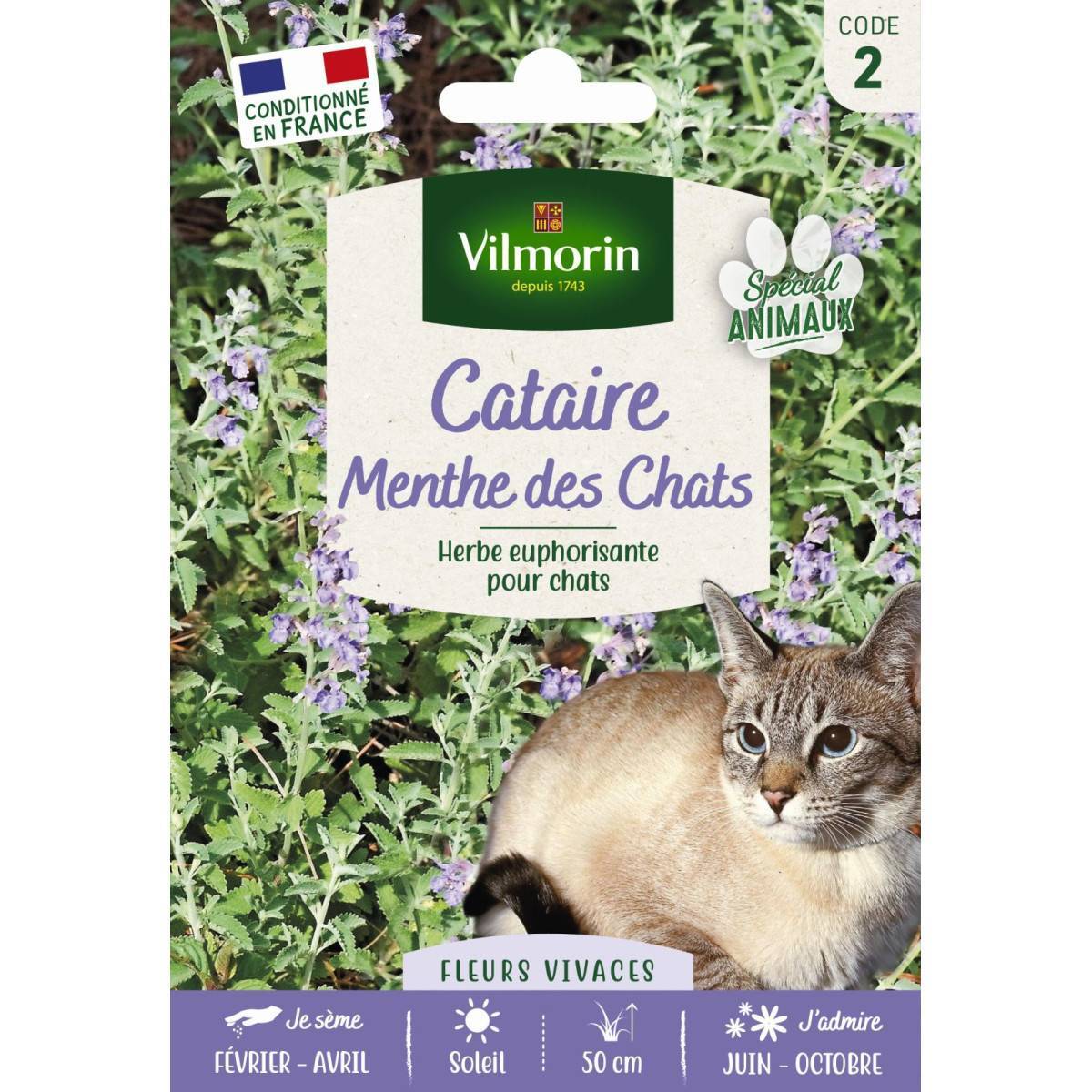 Vilmorin - Sachet de graines Cataire Menthe des Chats format économiqe - Image 1