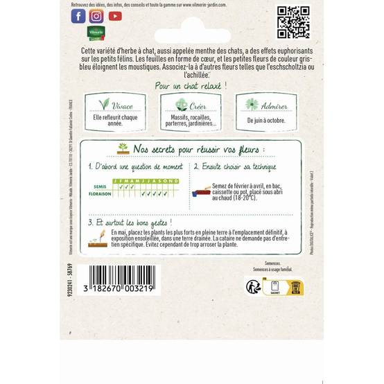 Vilmorin - Sachet de graines Cataire Menthe des Chats format économiqe - Image 2