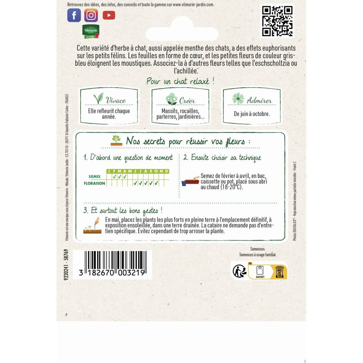 Vilmorin - Sachet de graines Cataire Menthe des Chats format économiqe - Image 2