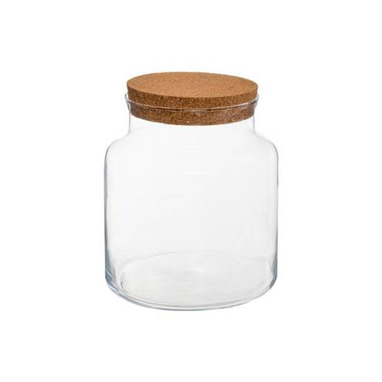 Terrarium en Verre "Bovaj" 21cm Transparent - Image 1
