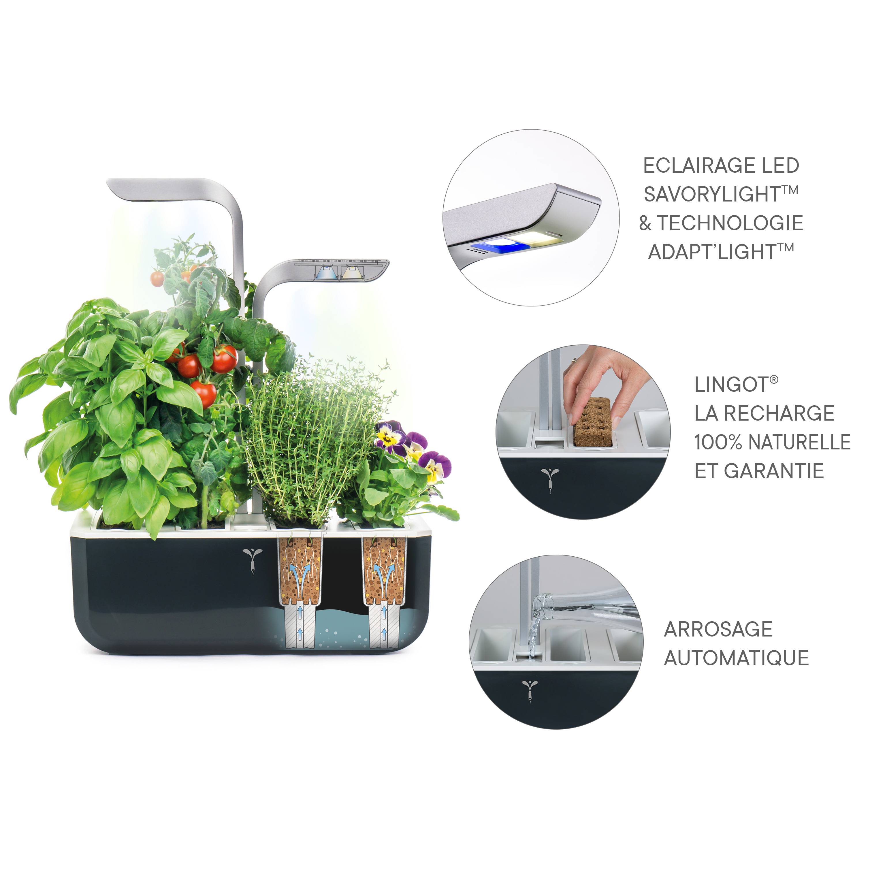 Veritable - Potager d'intérieur Autonome Véritable SMART Soft Black - Livré avec 4 Lingots - Véritable - Imagen 5