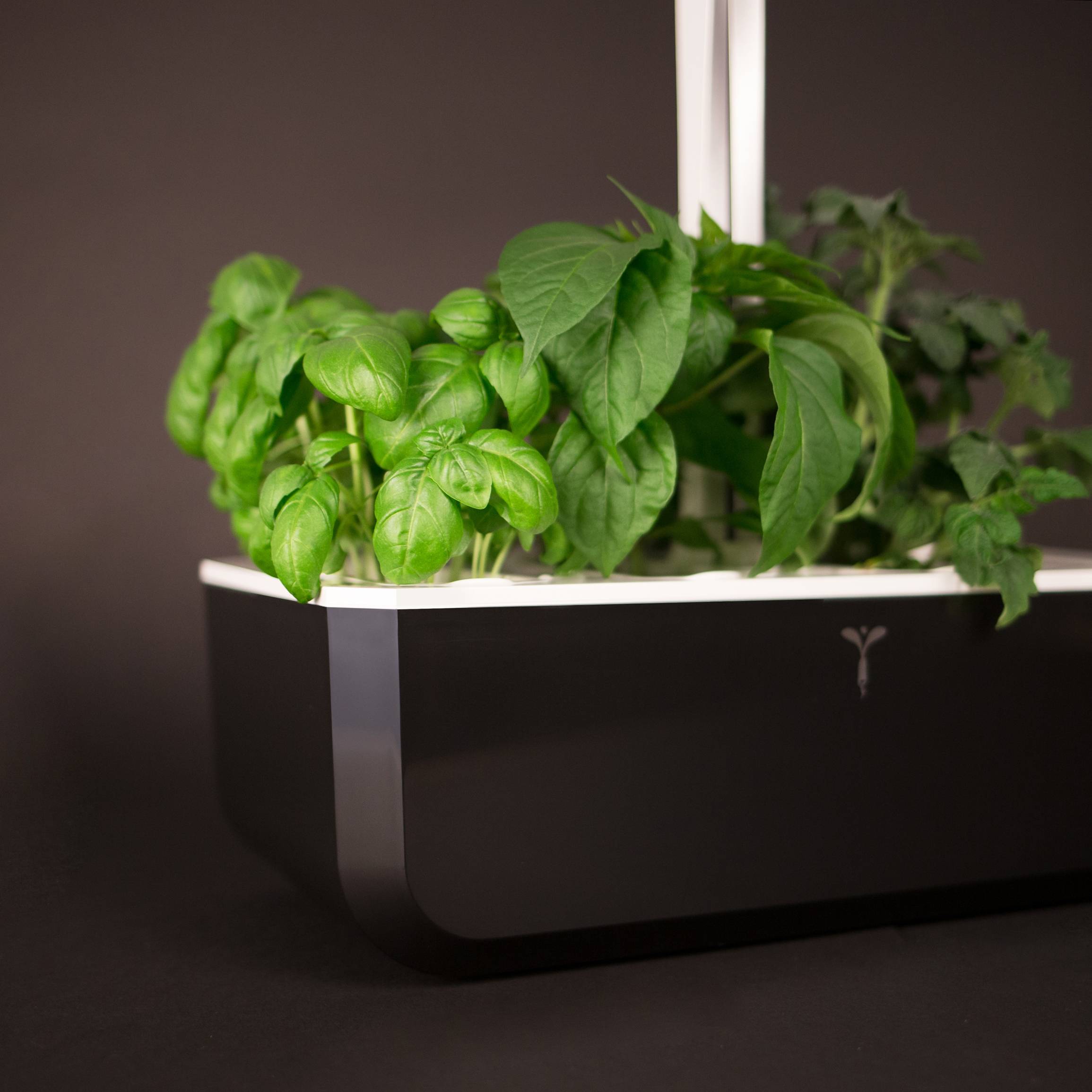 Veritable - Potager d'intérieur Autonome Véritable SMART Soft Black - Livré avec 4 Lingots - Véritable - Imagen 3