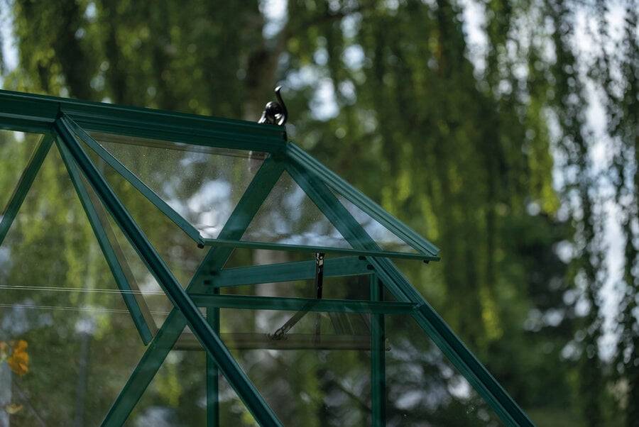 Halls - Serre en verre horticole 3,7 m² ICON 6, vert - Halls - Image 3