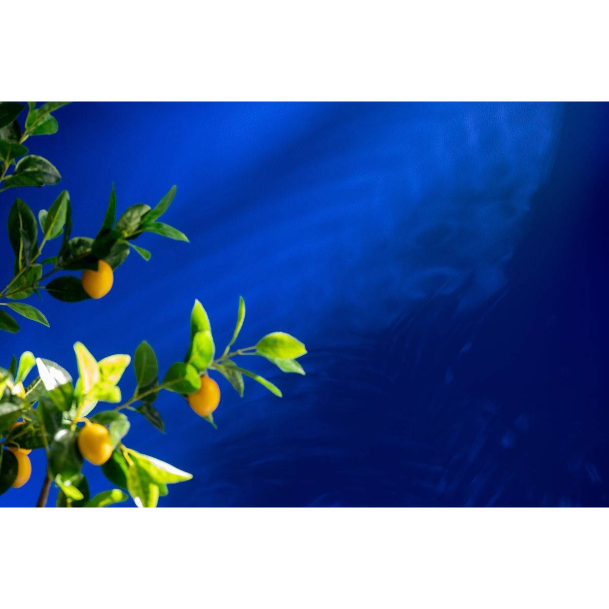 Plante Artificielle en Pot "Citronnier" 130cm Vert - Image 4