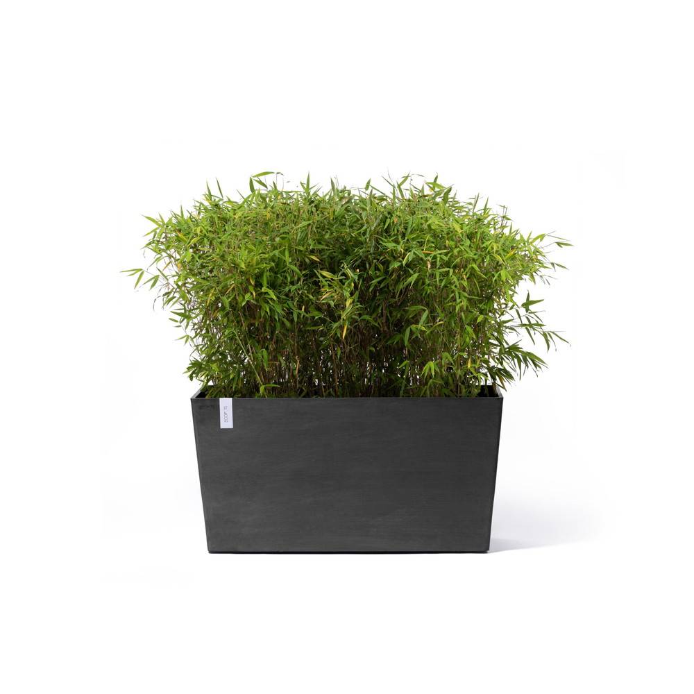 Ecopots - Jardinière sur roues Paris 100 Gris Foncé - 100 x 40 x H. 50 cm - 137 L ECOPOTS - Imagen 1
