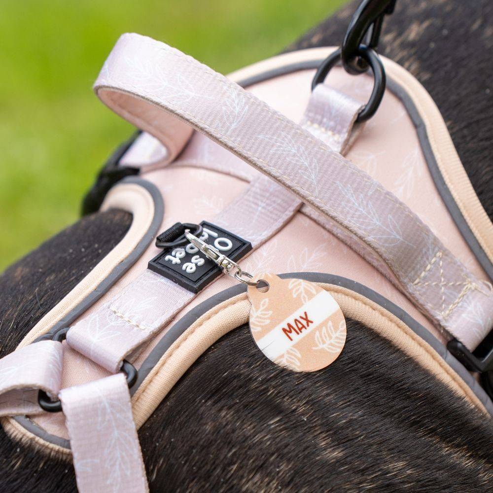 Harnais Premium pour chien confortable – Beige Tropical – On se la Pet - Image 3