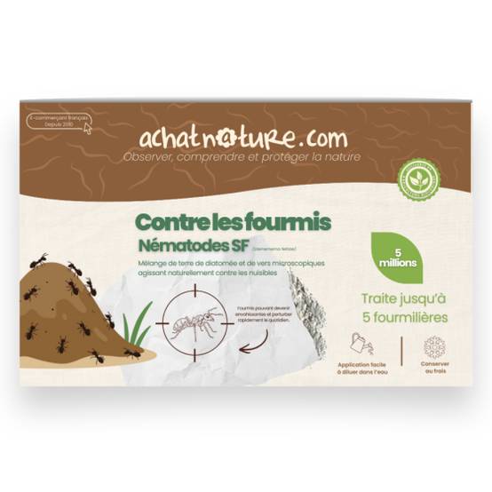 ECOstyle Nématodes contre les fourmis 5 mln nématodes - 5 nids de fourmis ECOstyle Nématodes contre les fourmis 5 mln nématodes - 5 nids de fourmis