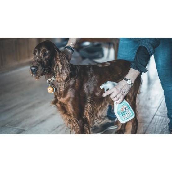 Spray antiparasitaire chien VETOCANIS 500 ml, puces, tiques et moustiques, protection jusqu’à 12 jours - Image 5