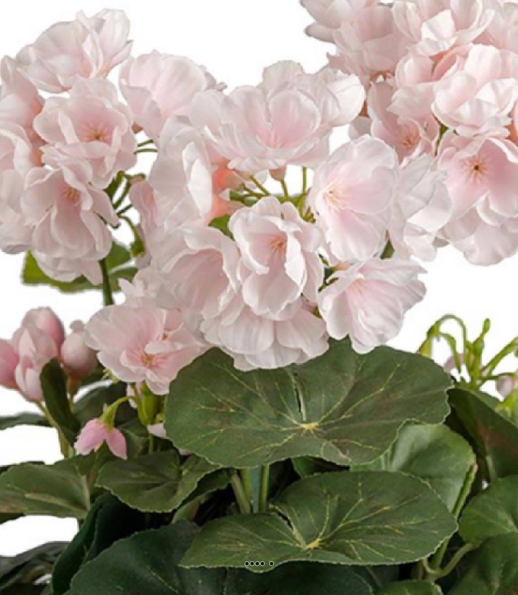 Artificielles - Géranium factice Rose pâle 6 têtes en pot lesté H35cm belles feuilles - couleur: Rose pâle - Imagen 3