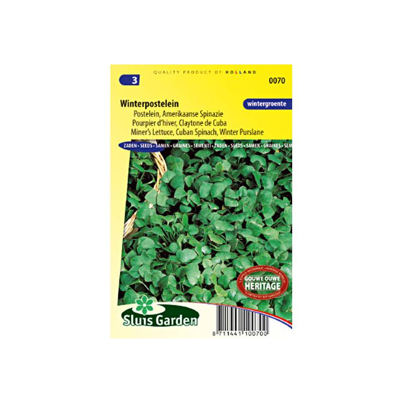 Pourpier d'Hiver Claytone de Cuba - Claytonia perfoliata le sachet de 800 graines environ (0,5g)
