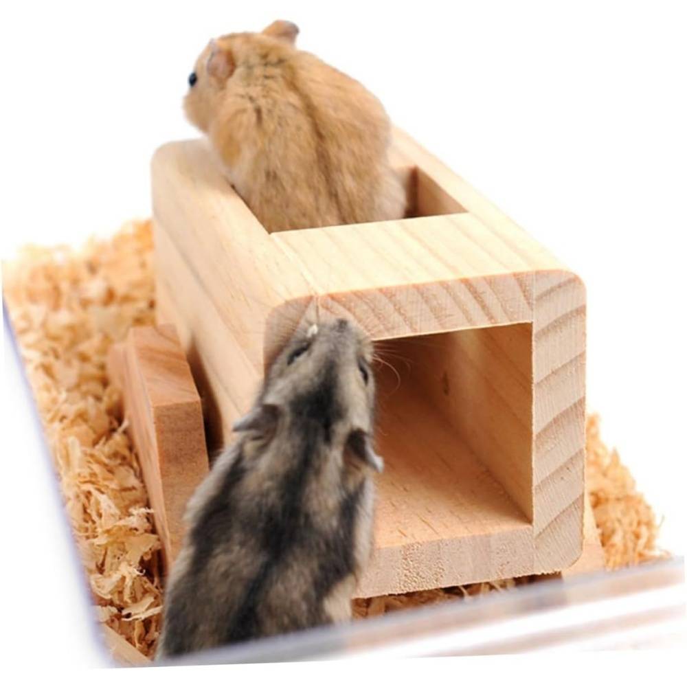 DtopbuyAge - Jouets Pour Hamsters Souris Écureuils DtopbuyAge - Image 3