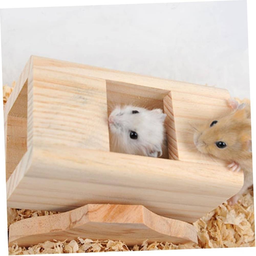 DtopbuyAge - Jouets Pour Hamsters Souris Écureuils DtopbuyAge - Image 2