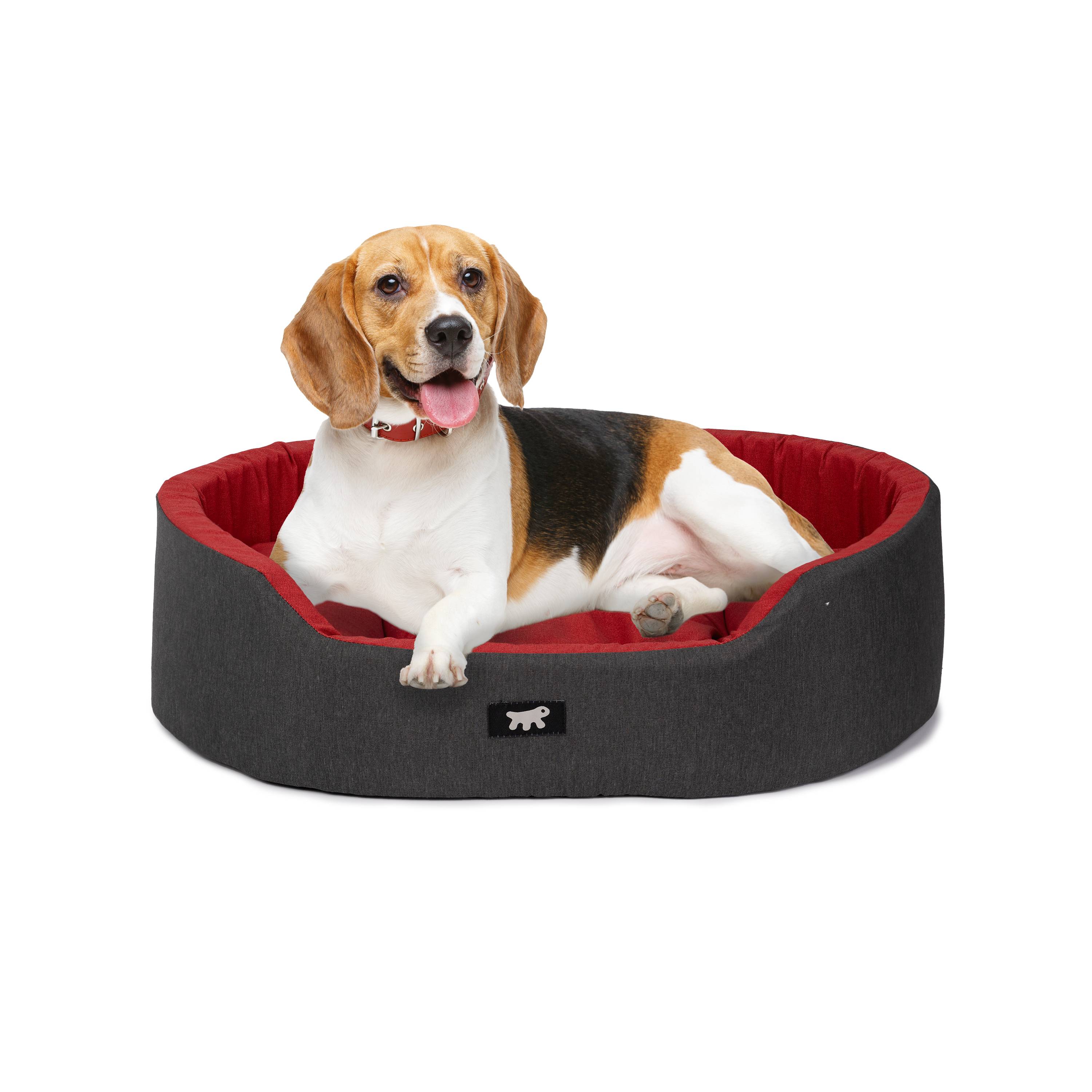 Ferplast - Ferplast Panier Chien Dandy, Coussin Amovible et Lavable, Housse en Coton avec Rembourrage Doux, Lit Chiens Moyen, 80 x 55 x H 18 cm, Rouge - Imagen 4