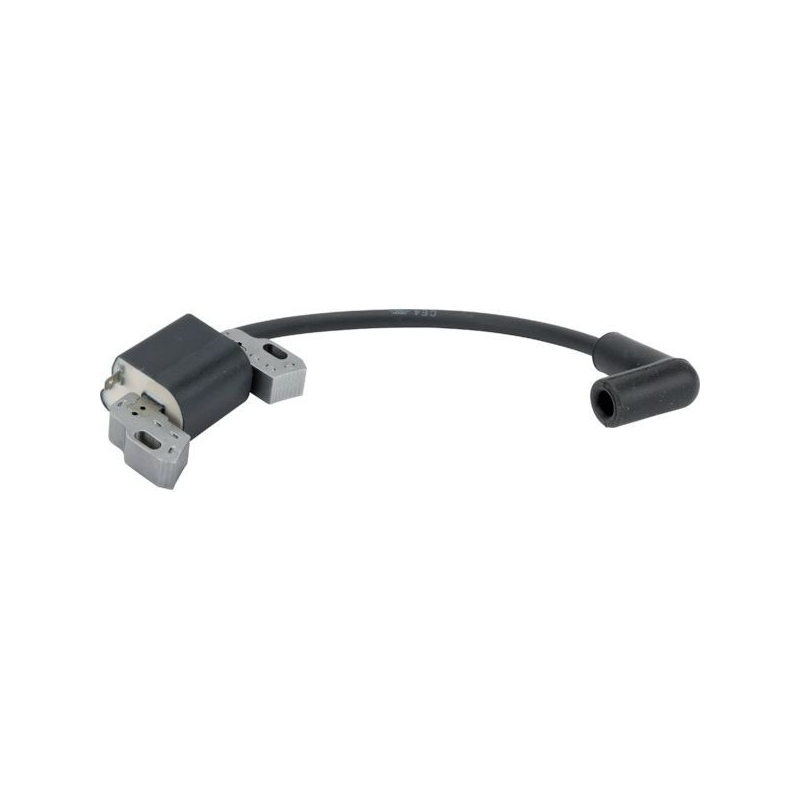 Bobine allumage moteur tondeuse 595009 Briggs et Stratton - 84005272 ...