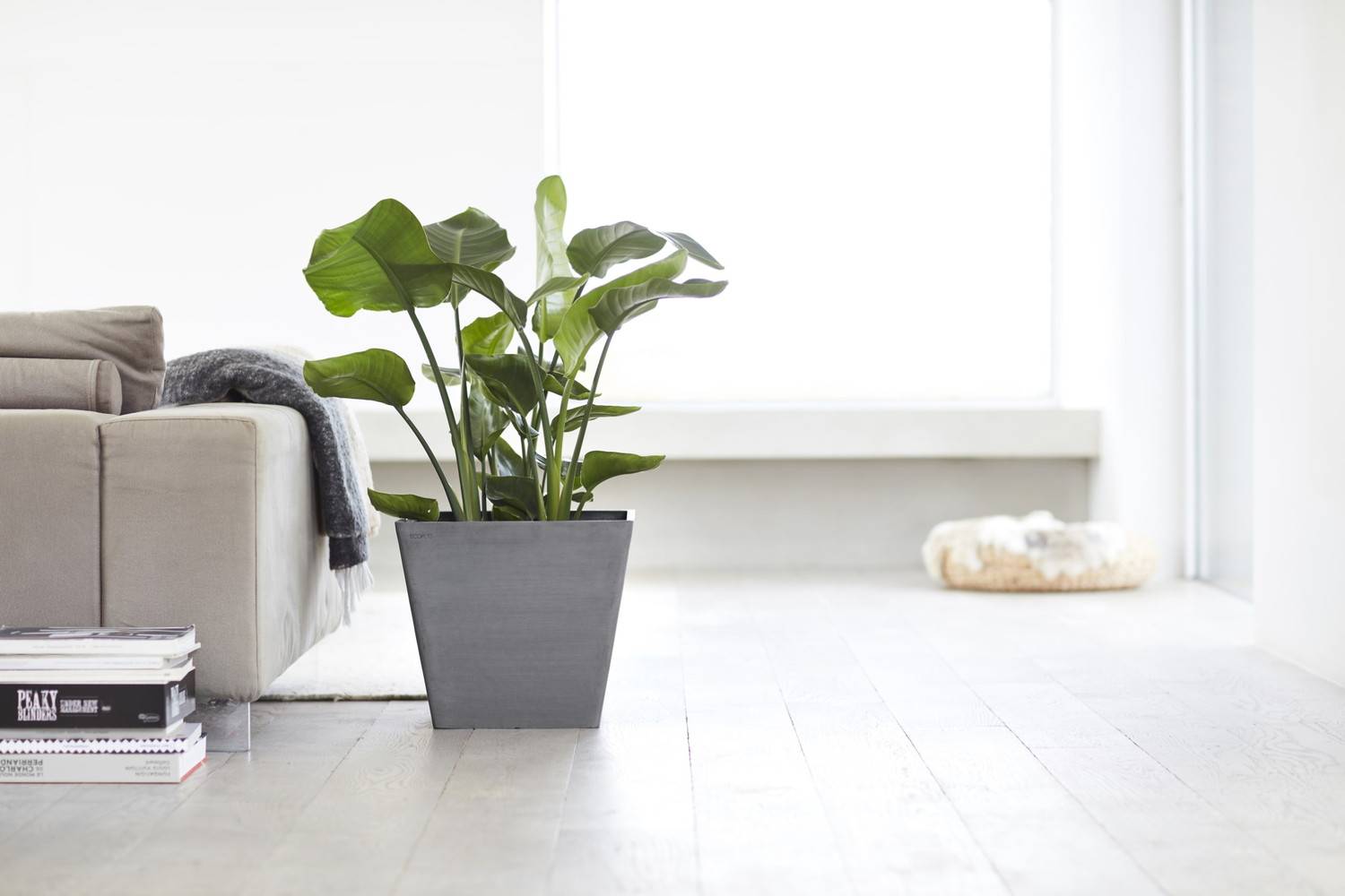 Ecopots - Pot Carré Rotterdam 40 Gris - 40 x 40 x H. 35 cm - 37,6 L ECOPOTS - Imagen 3